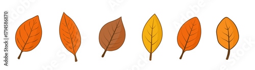 A set of six autumn leaves of different shapes on a white background.