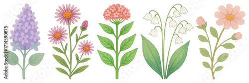 PNG Colorful illustrated spring flowers, element set on transparent background