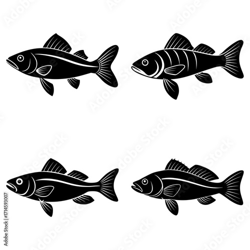 Illustration of four black fish with different fin and body markings on a white background design element