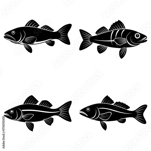 Four stylized fish illustrations in black and white showcasing different fin and body shapes and patterns