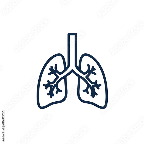 An illustration of healthy lungs displayed as a medical graphic