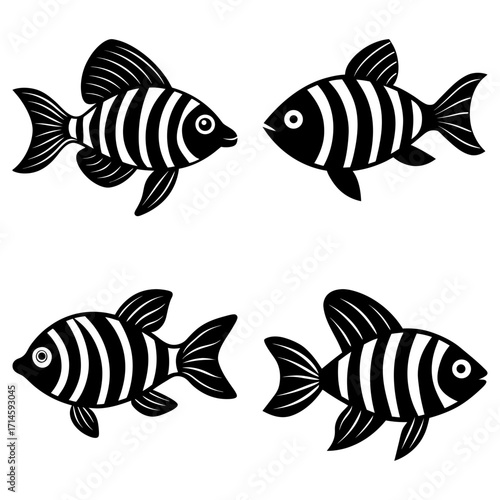 Four stylized black and white striped fish swimming in different directions on a white background design art