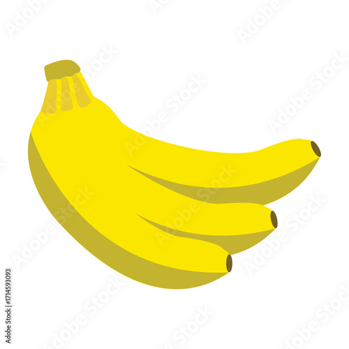 Banana fruit illustration. Hand drawn style vector fruit.