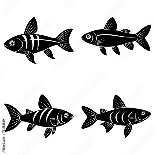 Four stylized fish illustrations in black and white showcasing different fin and body markings designs