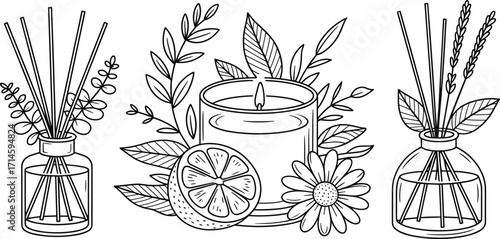 Outline Drawing of Aromatherapy Diffusers, Candle, Lemon, and Flowers reed diffuser essential oil