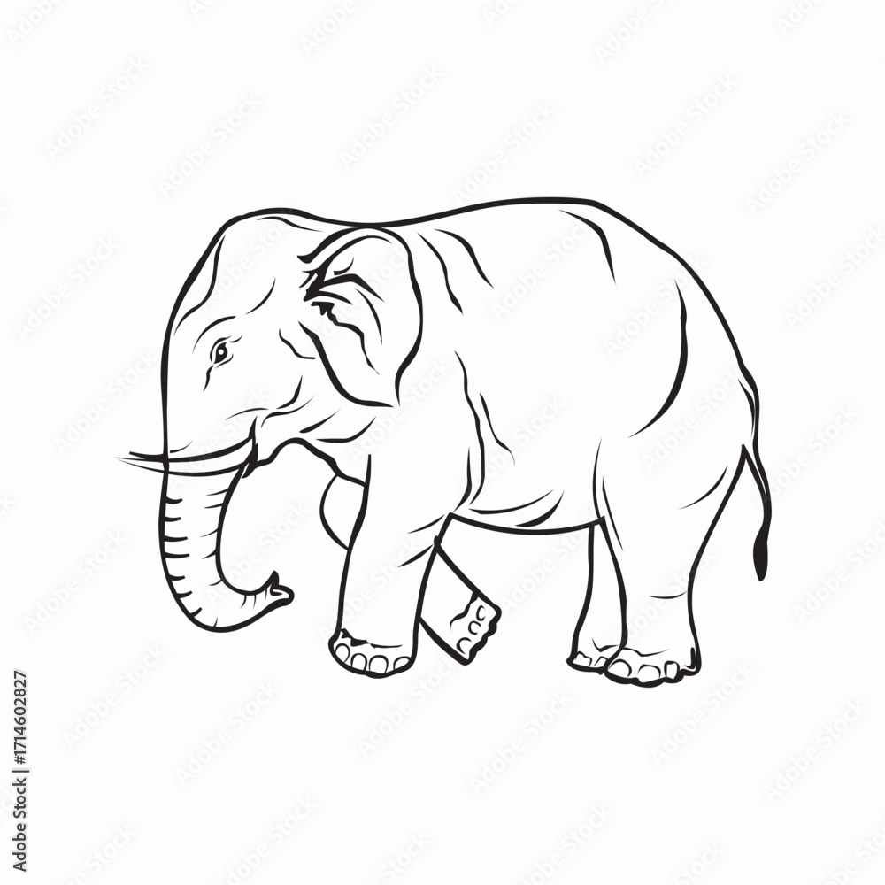Fototapeta premium Elegant Elephant Line Drawing in Minimalist Black and White Vector Style