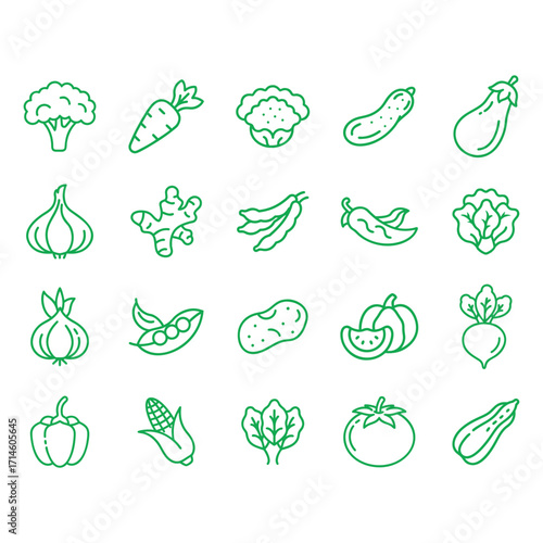 Collection of green line icons of various vegetables including broccoli carrots cauliflower zucchini eggplant garlic ginger peas chili peppers lettuce potatoes beets corn spinach and tomatoes