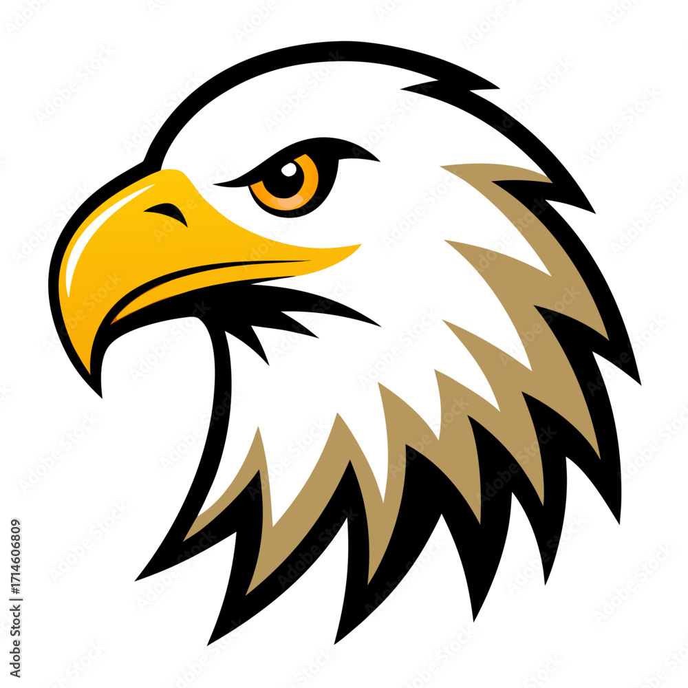 Obraz premium bald eagle vector illustration