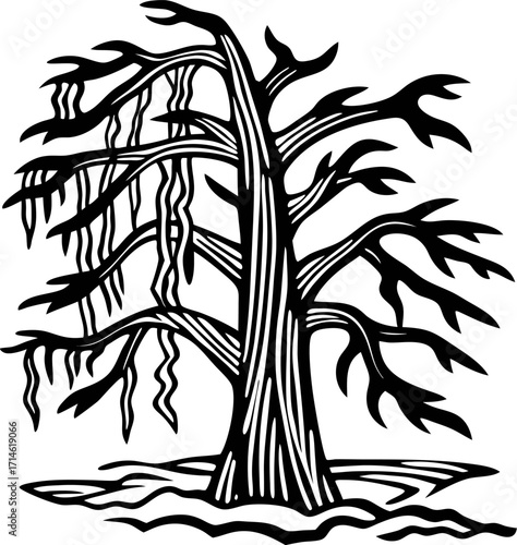 Engraved illustration of a bare, twisted willow tree with draping branches on a white background