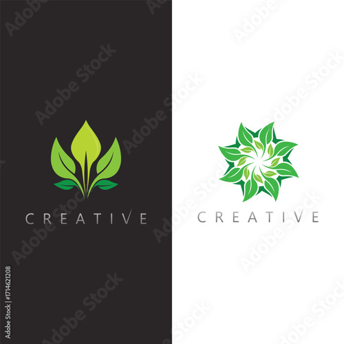 Elegant green leaf nature vector logo design and eco friendly brand identity icon