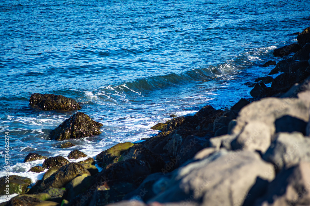 Naklejka premium Ocean waves breaking on rocky coast