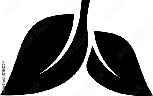 leaf icon vector illustration designed in a modern flat style with clean shapes, vibrant , symbolism, created for use in natural branding, environmental campaigns, and sustainable product packaging.