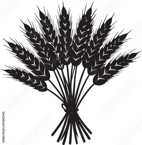  Farm Wheat Silhouette Vector Illustration
