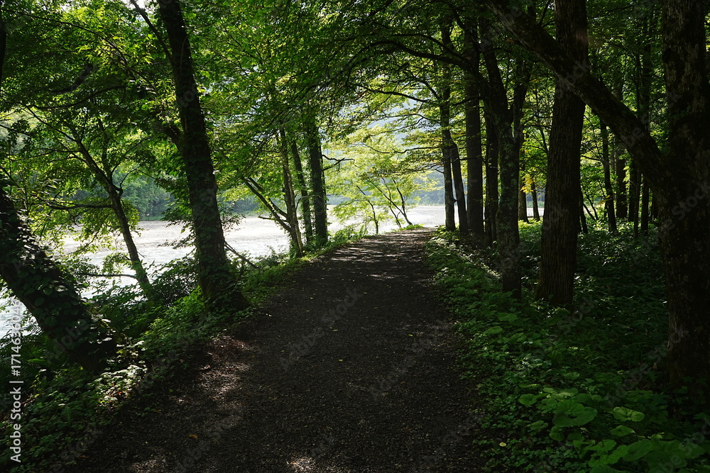Obraz premium Kamikochi in Nagano, Japan - 日本 長野 上高地