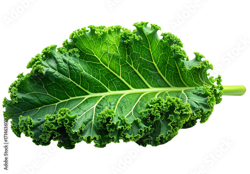 Stylized Curly Kale Leaf with Enhanced Textures, Minimalist Transparent PNG