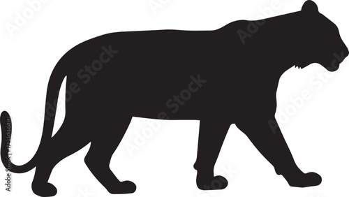  Jungle Tiger Silhouette Vector Illustration