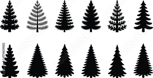 Black tree silhouettes, pine and deciduous forest icons, vector illustration, nature design, holiday and winter background, graphic elements, isolated on white