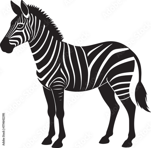  Wild Zebra Silhouette Vector Illustration