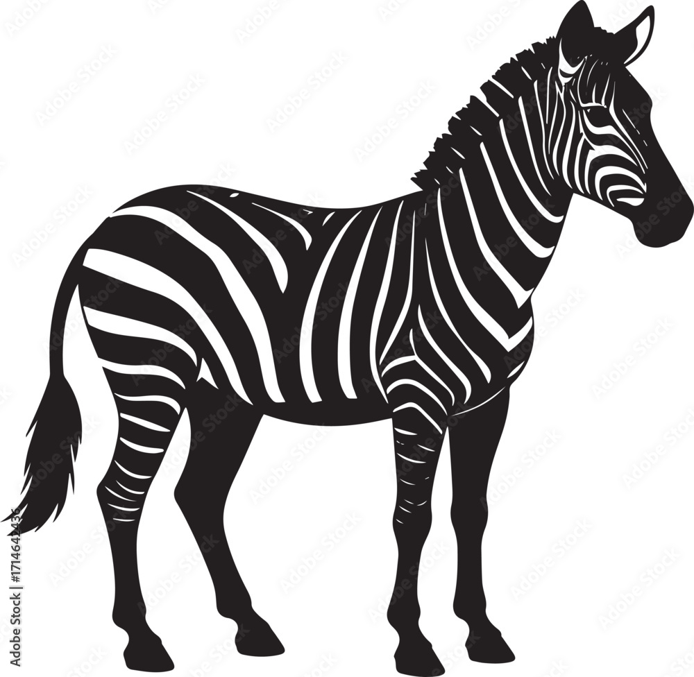 Fototapeta premium Wild Zebra Silhouette Vector Illustration