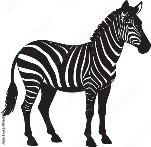  Wild Zebra Silhouette Vector Illustration