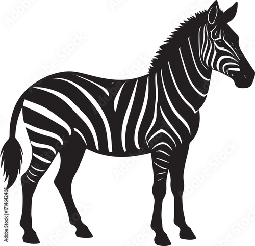  Wild Zebra Silhouette Vector Illustration