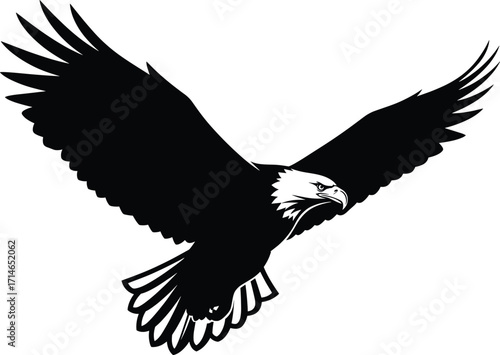 Bald eagle silhouette vector, flying bird illustration, American freedom symbol, wildlife graphic, majestic raptor in flight, black and white design