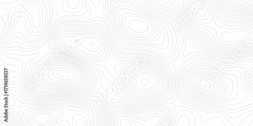 Topographic seamless map pattern with contour lines. Abstract geographic elevation design, lines sea map modern white background.	