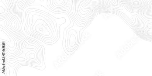 Topographic seamless map pattern with contour lines. Abstract geographic elevation design, lines sea map modern white background.	