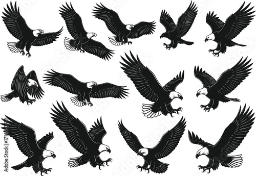 Flying bald eagle vector set, black and white silhouette illustrations, majestic raptor poses, wildlife clipart, hunting bird graphics, isolated eagle designs