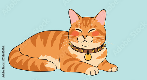 An adorable orange tabby cat with a happy expression and wearing a collar.