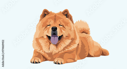 An adorable fluffy orange chow chow dog with its tongue out and eyes closed is lying down in a relaxed pose on a pale blue background.