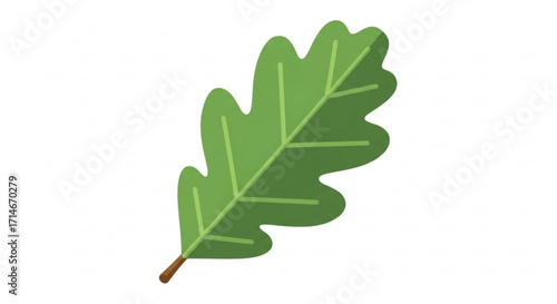 Green oak leaf vector illustration for nature designs and autumn season graphics and botanical art projects