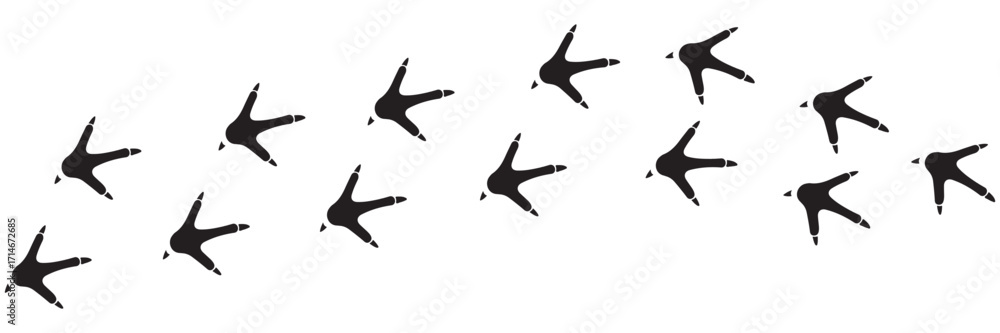 Fototapeta premium Chicken Footprint Path Vector – Forward and Backward Bird Tracks Icon Illustration