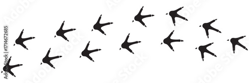 Chicken Footprint Path Vector – Forward and Backward Bird Tracks Icon Illustration