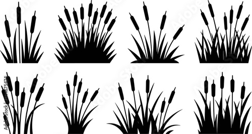 Silhouette of Cattail Cluster: A collection of stylized cattail silhouettes, embodying the beauty and detail of nature, perfect for design use.