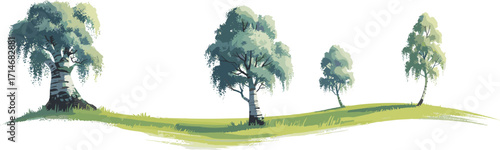 Birch tree landscape, stylized nature scene, green foliage, grassy terrain, vector illustration, minimalist design, tranquil forest, editable artwork, stock content