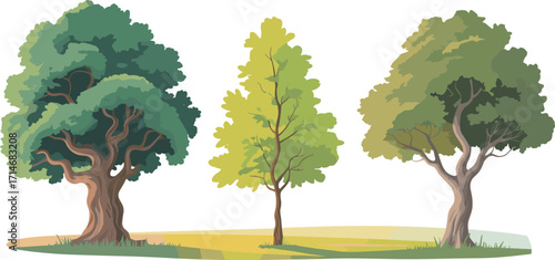 Tree landscape illustration, diverse tree shapes, green foliage, nature scene, vector art, seasonal concept, isolated trees, editable design, stock content