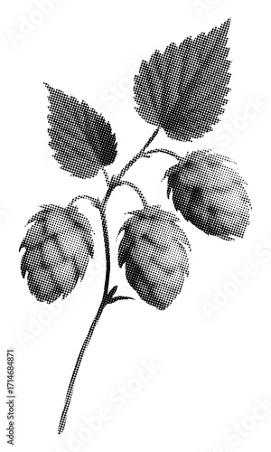 hops sprig plant isolated retro halftone collage element with leaves and hop flowers vintage dots texture cut-out for mixed media design