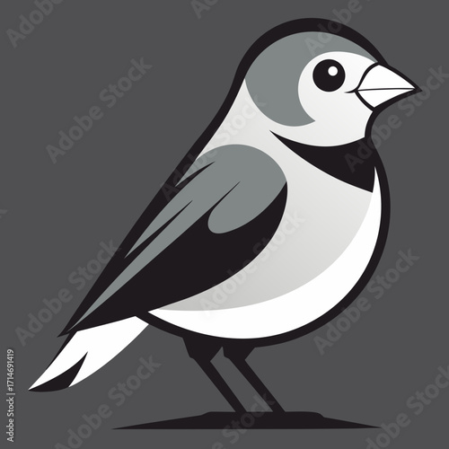 a bird vector on white background