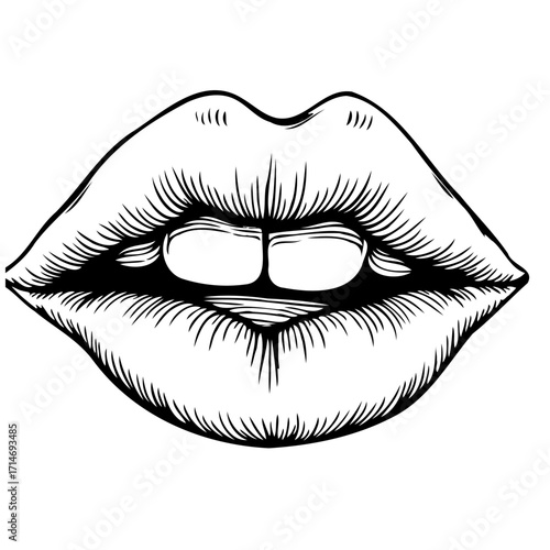Engraved mouth illustration showcasing delicate lip texture and classic beauty with a contemporary