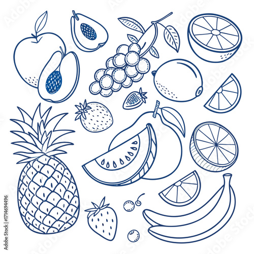 Hand drawn assortment of fresh fruits in outline style