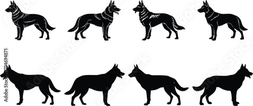 Eight Silhouetted German Shepherd Dogs, Different Poses, Black on White Background, Canine Diversity