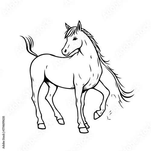 Monochrome equine elegance illustration with simple outlined artistic style and a gentle