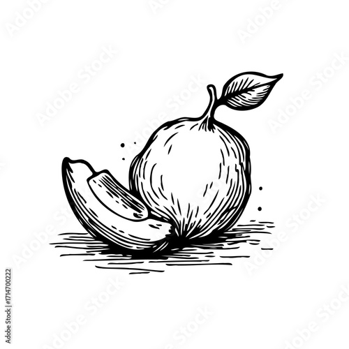 Monochrome pear sketch with leaf and slice displays organic freshness artistic expression