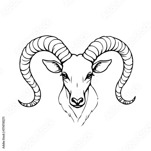 Monochrome ram artwork displaying strong spiral horns and stylized facial details highlighting