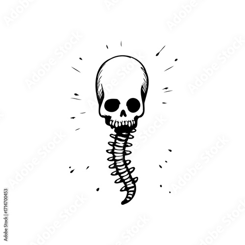 Monochrome skull and spinal column artistic composition evoking mortality and anatomical depiction