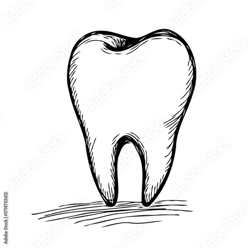 Sketch of a single tooth with basic shading and defined root structure representing dental health