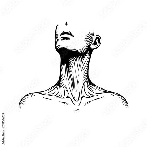 Striking monochrome linework captures the elegant curve of a neck upward gaze female contour