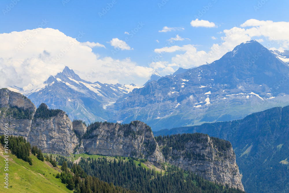 Fototapeta premium Panoramic view of snow-covered Swiss Alps and green flowering alpine meadow near Schynige Platte in Bernese Oberland, Switzerland