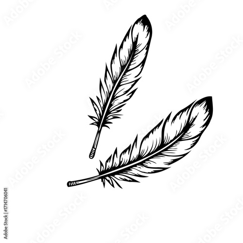Two ethereal floating feathers in elegant monochrome design symbolizing lightness and airy